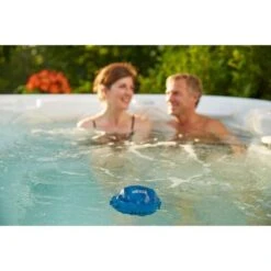 King Technology - FROG @Ease Floating Sanitizing System -Aqua Bliss Supply FROG Ease Floating Sanitizing System 6